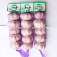 250g garlic for Algeria