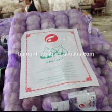 fresh garlic for Algeria