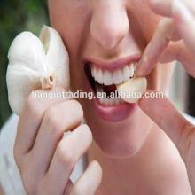 fresh white garlic/top quality