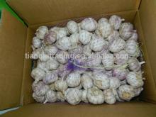 2014 New  Garlic  in  Carton  10kg/Box