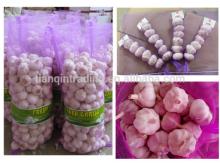 2014 Cold Storage Fresh Red Garlic , New Price!!!