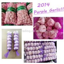 2014 New Jinxiang Garlic Price 10kg/mesh bag or10kg/carton