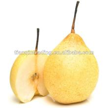 2012 New Crop Ya Pear