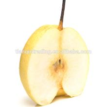 fresh ya pear