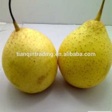 2014  new   ya   pear 
