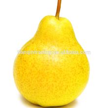  hebei   ya   pear  price