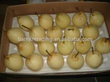 2014 Hebei Fresh Ya Pear