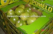  fresh   honey   pomelo 