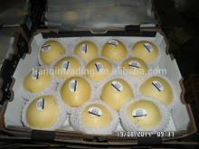 2014 Hebei Fresh Ya Pear /New Season Pear