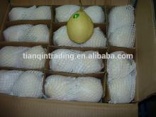 Ya pear China Hebei