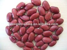Red kidney beans