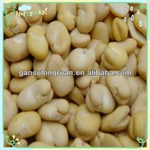 broad beans
