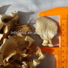 Dried pleurotus mushrooms
