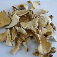 Dried oyster mushroom, pleurotus 