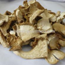 Dried pleurotus mushroom,good quality