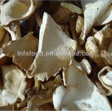 Dried wild and cultivated Oyster mushrooms