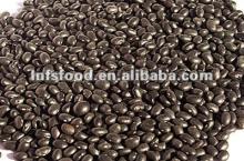 Organic Big dried black bean