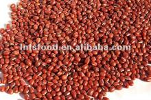Organic Rmall round red beans