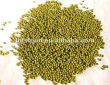 Organic Dried non gmo green soybean