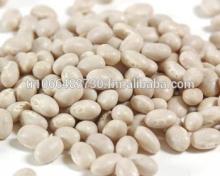 wholesale dry white kidney beans at a reasonable white beans price and other bean production