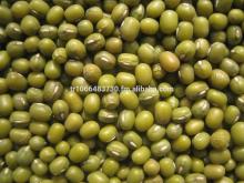 High qualtiy Green Mung Bean,2014 crop,different size