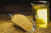 Soybean For oil Extraction