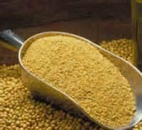  Soybean  For  Animal   feed 
