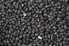 black soybean