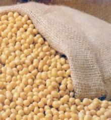  Non - GMO   Soybean s #2