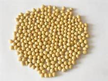 EU certified organic soybean