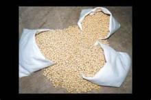 Non-gmo Soybeans for health and diet food made