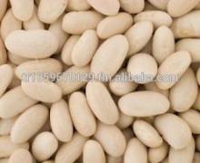 High quality white beans