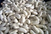 Dried Butter Bean