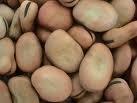 broad bean,china,40/50,50/60 Thailand