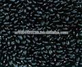 Black Kidney Beans