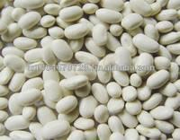 High Grade  White   Kidney  Bean  Long   Shape 