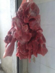 pork shoulder