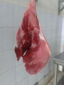 pork shoulder (back)