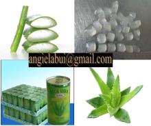 FRESH FROZEN  ALOE  VERA,  ALOE  VERA  JELLY / DICES/ GEL