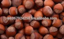 Sweet dried hazelnuts