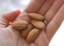 high quality almond nuts