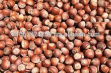 Air dried hazelnuts