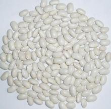 White Kidney Bean,Red,Black,Sparkled Bean