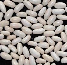 White Kidney Beans,Sparkled kidney beans