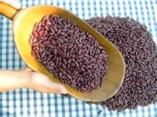 Kidney Beans for Animal Consumption