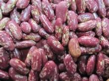 red speckled kidney bean 180-200,200-220,220-240