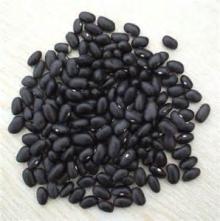medium black kidney bean 200-220,240-260