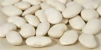 large  long   white   kidney   bean 