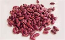 purple speckled kidney bean 200-220,220-240,240-260