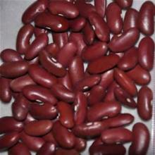 british type red kidney bean 180-200,200-220,220-240